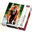 Puzzle 1000 Nature... - Orangutan TREFL