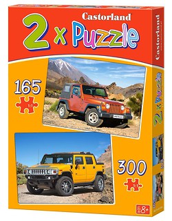 Puzzle x 2 - Roadless Tracks CASTOR