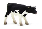 Cielę rasy holsztyńskiej stojące ANIMAL PLANET