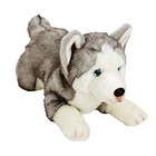 Piesek Husky 35 cm SUKI