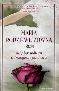 Między ustami a brzegiem pucharu TW w.2013