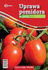 Uprawa pomidora w polu HORTPRESS