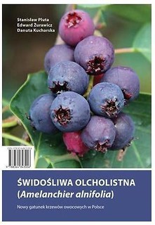 Świdośliwa olcholistna HORTPRESS