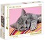 Puzzle 500 HQ Grey Kitten