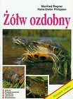 Żółw ozdobny