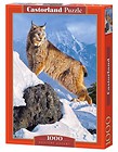 Puzzle 1000 Austere Ascent CASTOR