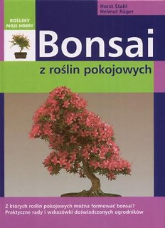 Rośliny moje hobby. Bonsai z roślin pokojowych