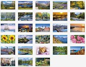 Kalendarz 2017 Jednodzielny - MIX PP