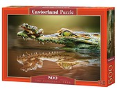 Puzzle 500 The Daredevil Frog CASTOR