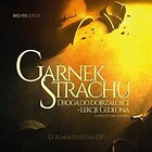 Garnek strachu audiobook