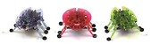 Hexbug Żuczek