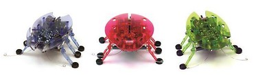 Hexbug Żuczek