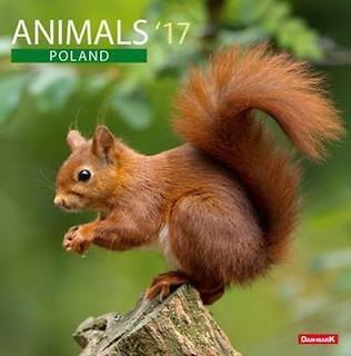 Kalendarz 2017 13PL 300x300 Animals PL DAN-MARK