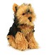 Yorkshire Terrier 26cm ACP