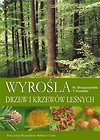 Wyrośla drzew i krzewów leśnych