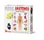 Puzzle 100 - Anatomia RUSSEL