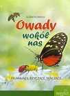 Owady wokół nas