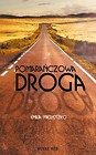 Pomarańczowa droga