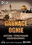 Gasnące ognie audiobook