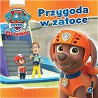 Psi Patrol cz. 6. Przygoda w zatoce