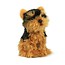 Yorkshire Terrier 18cm ACP