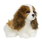 King Charles Spaniel 20 cm ACP