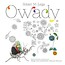Kolorowanka edukacyjna. Owady