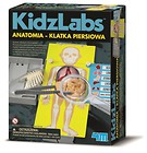 Anatomia - Klatka piersiowa 4M