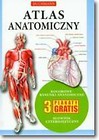 Atlas anatomiczny BUCHMANN