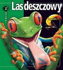 Las deszczowy z bliska