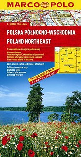 Mapa drogowa - Północno-Wschodnia  -BR-LAM-