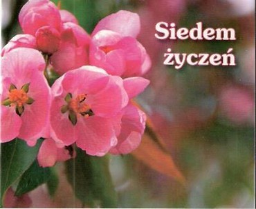 Perełka 026 - Siedem życzeń