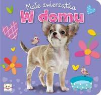 Małe zwierzątka - w domu