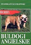 Buldogi angielskie