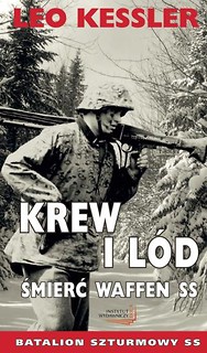Krew i lód. Śmierć Waffen SS