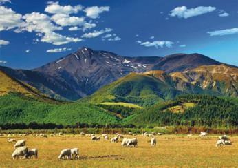 Puzzle 1500 Mountain Landscape DINO