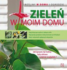 Zieleń w moim domu