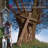 Kapliczki i krzyże przydrożne. Ocalić od zapomn.