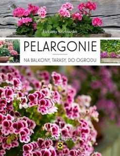 Pelargonie na balkony, tarasy i do ogrodu