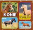 Harmonijka mała. Konie