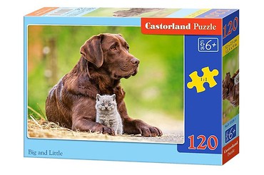 Puzzle 120 Big a little CASTOR