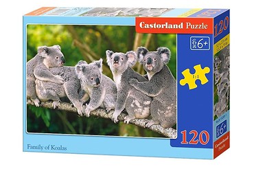 Puzzle 120 Rodzina Koali CASTOR