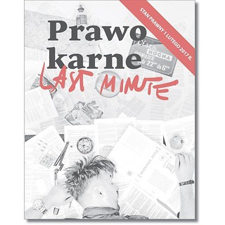 Last minute. Prawo karne w.2017