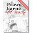 Last minute. Prawo karne w.2017