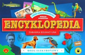 Gra - Mózg elektronowy- encyklopedia travel ALEX