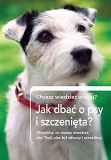 Jak dbrać o psy i szczenięta?