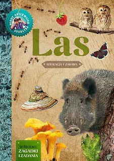 Młody obserwator przyrody. Las