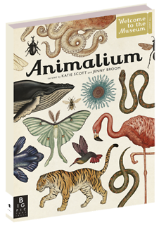 Animalium
