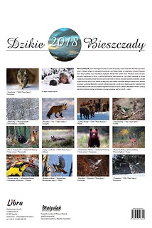 KALENDARZ DZIKIE BIESZCZADY 2018 Większy Format 330x480