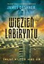 Więzień Labiryntu